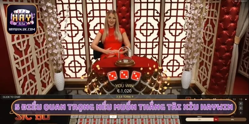 5 điều quan trọng nếu muốn thắng Tài xỉu HAYWIN