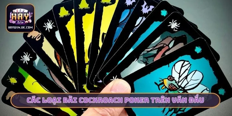 Các loại bài cockroach poker trên ván đấu