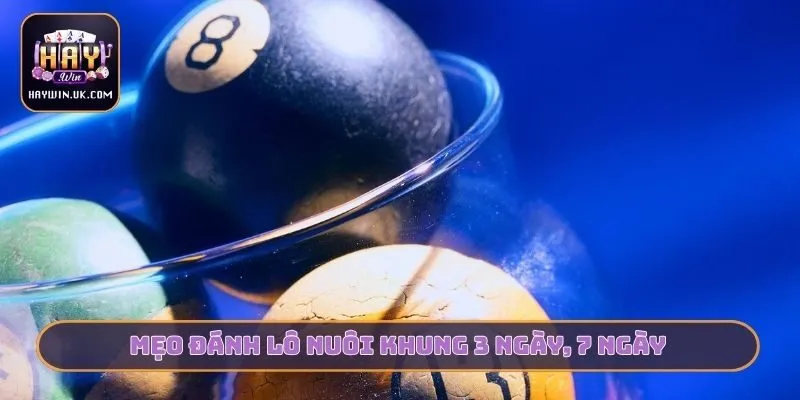 Mẹo đánh lô nuôi khung 3 ngày, 7 ngày
