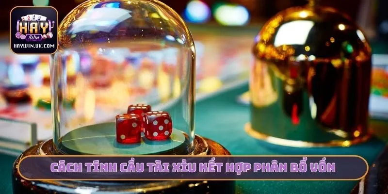 Cách tính cầu tài xỉu kết hợp phân bổ vốn