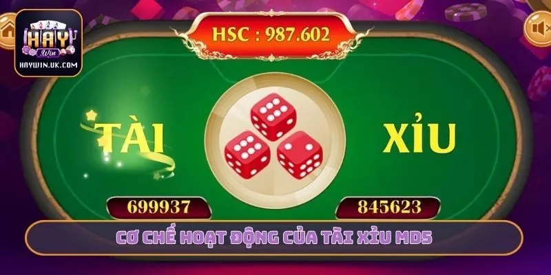 Cơ chế hoạt động của Tài xỉu MD5