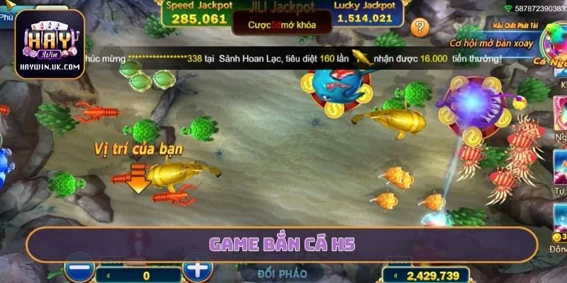 Bắn cá H5