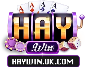 haywin.uk.com
