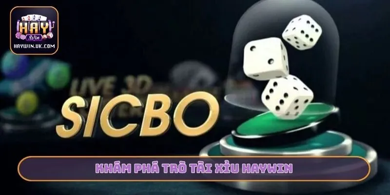 Khám phá trò tài xỉu HAYWIN