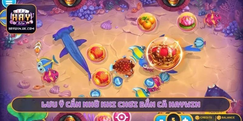 Lưu ý cần nhớ khi chơi bắn cá HAYWIN
