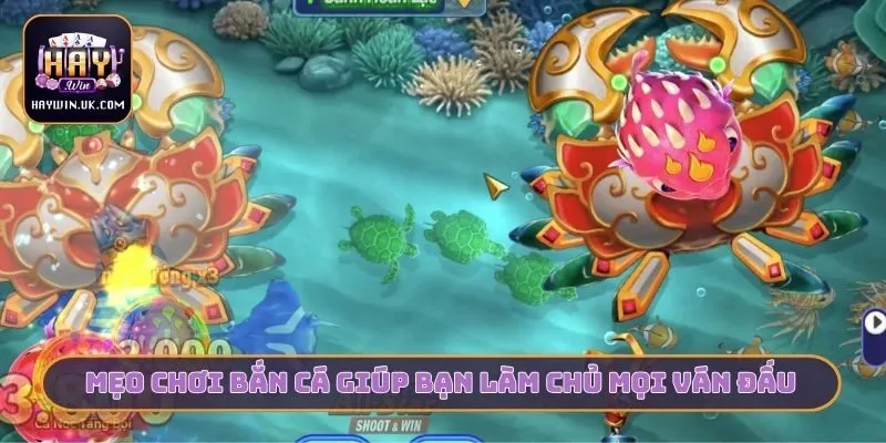 Mẹo chơi bắn cá giúp bạn làm chủ mọi ván đấu