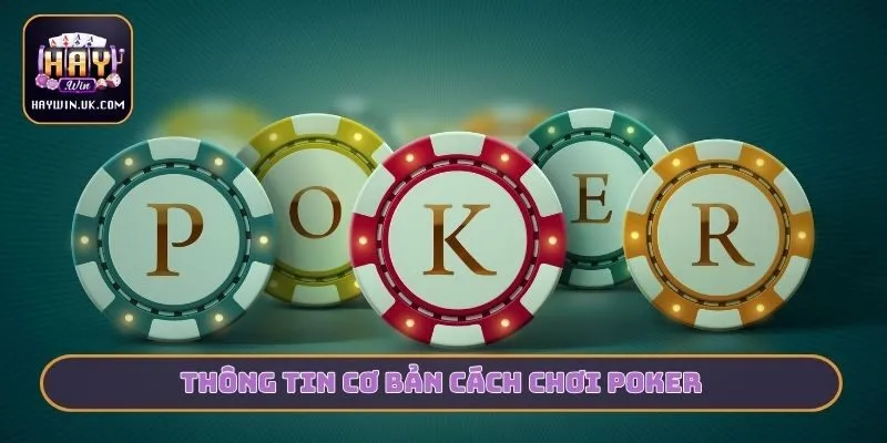 Thông tin cơ bản cách chơi Poker